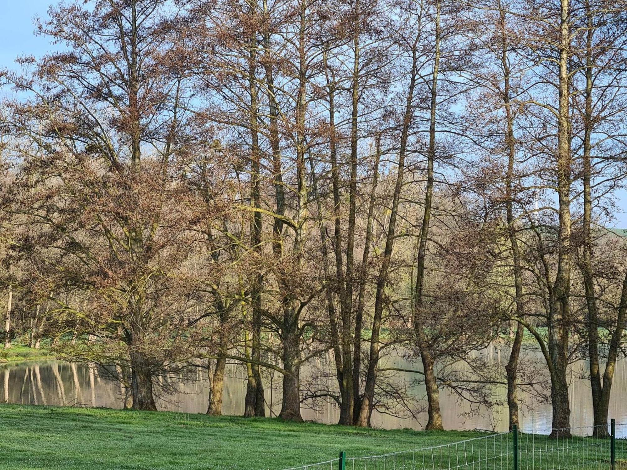 La Taniere Villa Gueures Dış mekan fotoğraf