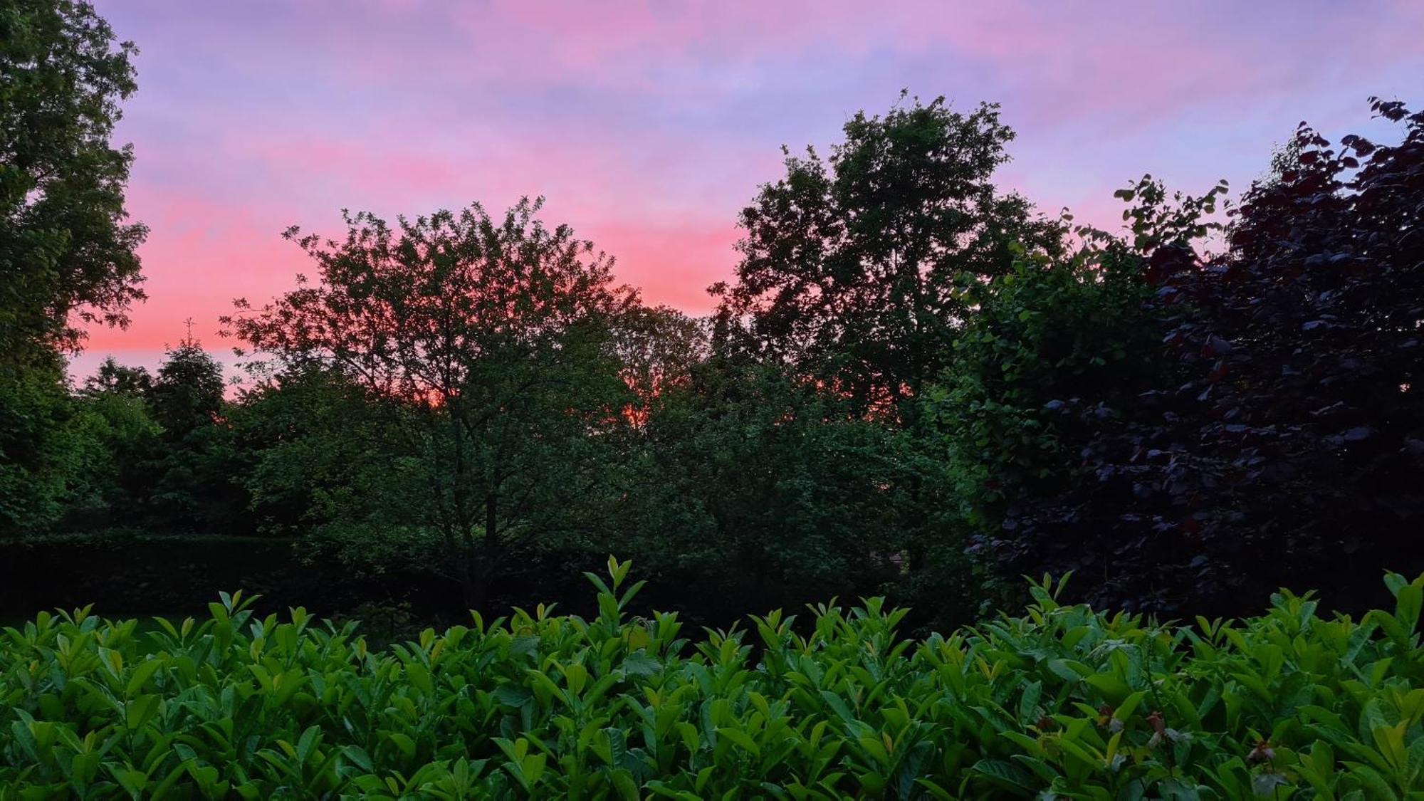 La Taniere Villa Gueures Oda fotoğraf